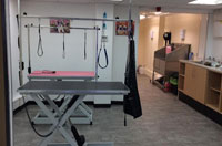 Check out our dog grooming salon